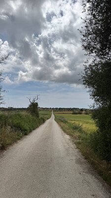 IMG_6889.JPEG